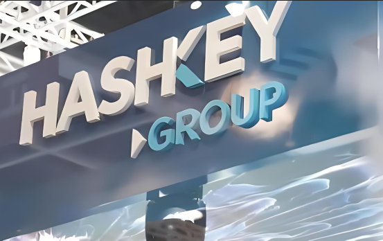 HashKey交易所怎么样-第1张图片-芝麻交易所下载